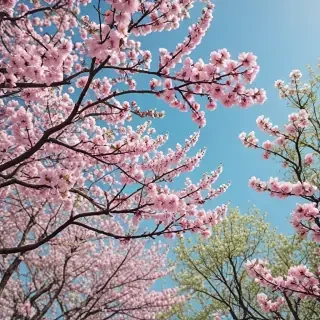 spring wallpaper iphone