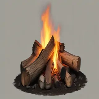 camp fire png