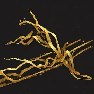 line gold png