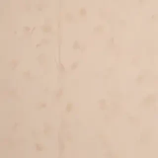 beige wallpaper aesthetic