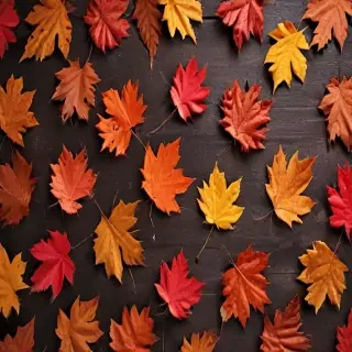 fall wallpaper for iphone