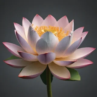 lotus png