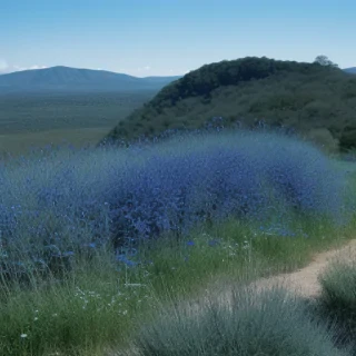border blue