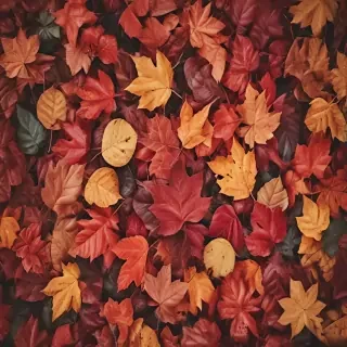 autumn leaves iphone wallpaper