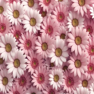 flowers wallpaper 4k