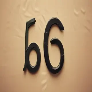number 6