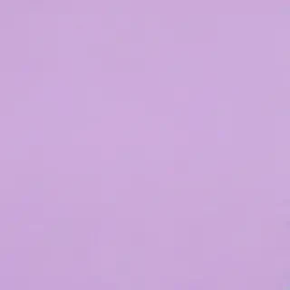 pastel purple background