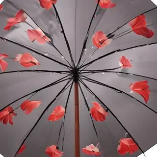 png umbrella