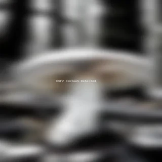 mushroom black and white