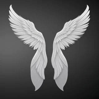 angel wings transparent