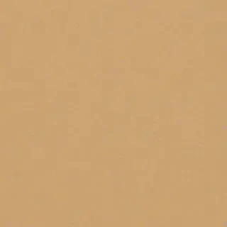beige plain background