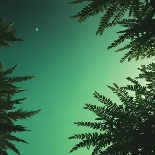 aesthetic backgrounds green