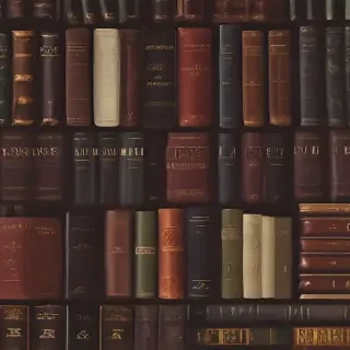 books icon aesthetic