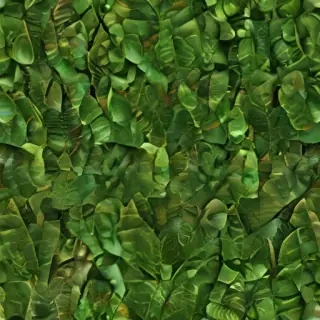leaf png transparent