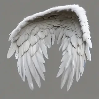 realistic angel wings png