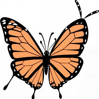 clipart butterfly png