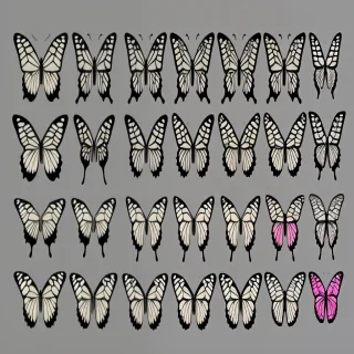 butterflies transparent
