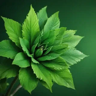 green iphone wallpaper