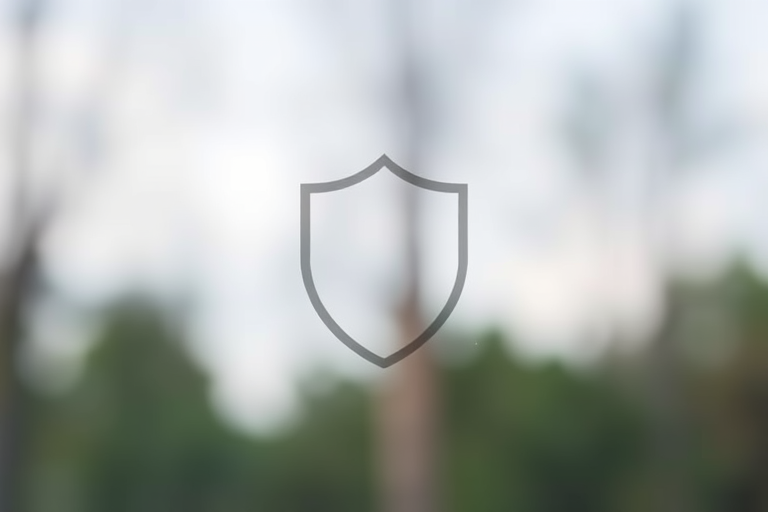 Create a high-resolution image of a simple shield emblem on a transparent background using a DSLR camera with a 50mm lens at f/1.8, ISO 100, and a shallow depth of field, capturing a straight-on view with soft natural lighting.