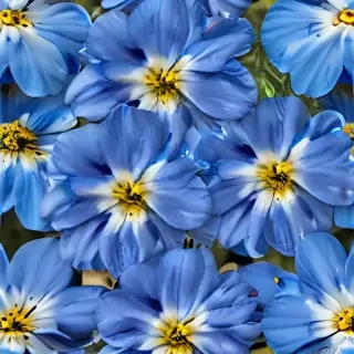blue flower