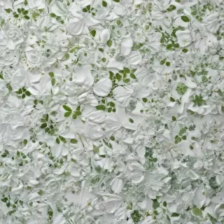 background white and green