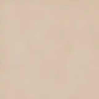 canvas texture overlay
