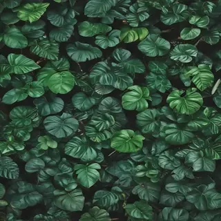 plants background iphone