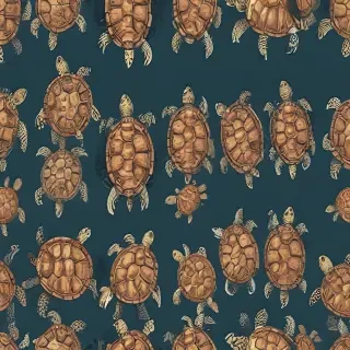 turtle backgrounds