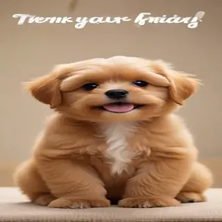 images of thank god its friday