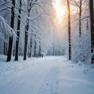 snow pngs