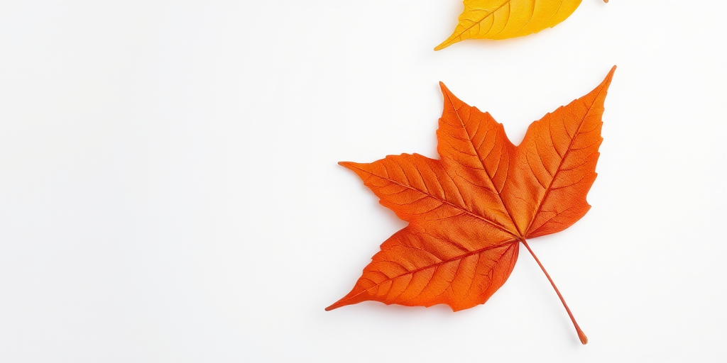 High-resolution macro photo of a single autumn leaf on a white background, using a DSLR camera at f/2.8, 1/200s, ISO 100, 50mm lens, natural lighting, top-down view, focus on leaf texture.