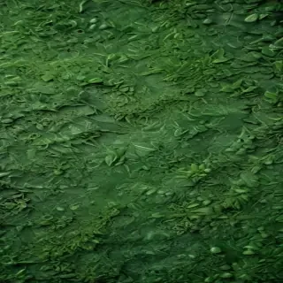 green textures