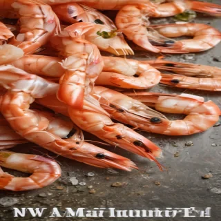 shrimp png