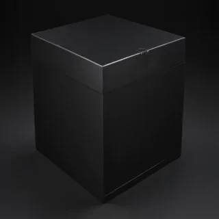 black box image