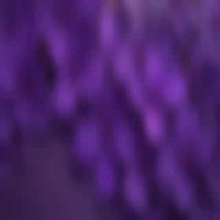 wallpaper purple cute