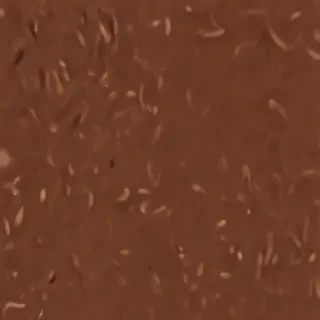 brown ig highlight cover