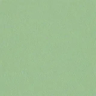 light sage green background