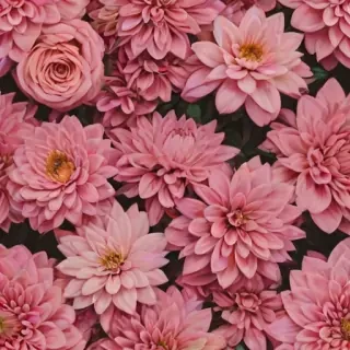 flowers aesthetic wallpaper