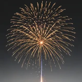 firework png