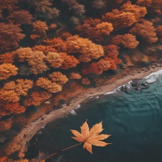 fall aesthetic wallpaper iphone