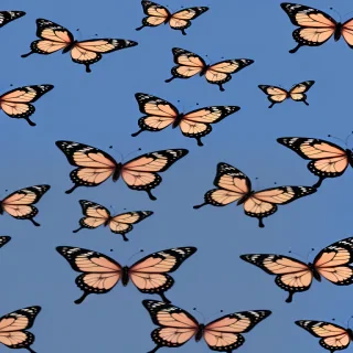 beautiful butterflies wallpaper