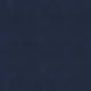 navy blue bg