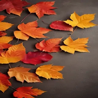 autumn leaves iphone wallpaper