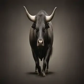 bull background