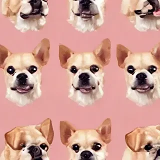 aesthetic wallpapers dogs