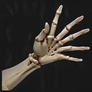 skeleton hand png