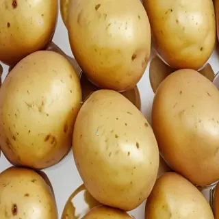 potato transparent