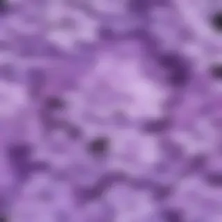 aesthetic lilac wallpaper