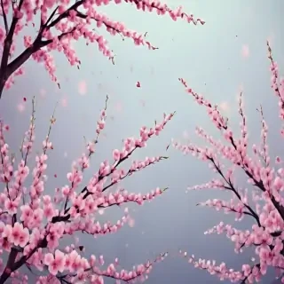 cherry blossom backgrounds