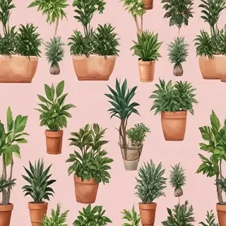 potted plants png